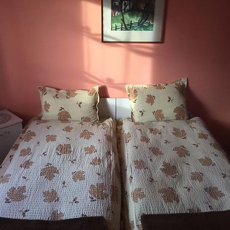Becze Vanda kulcsosház Lăzarea Esterno foto