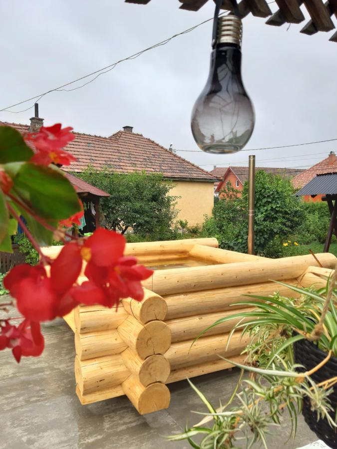 Becze Vanda kulcsosház Lăzarea Esterno foto