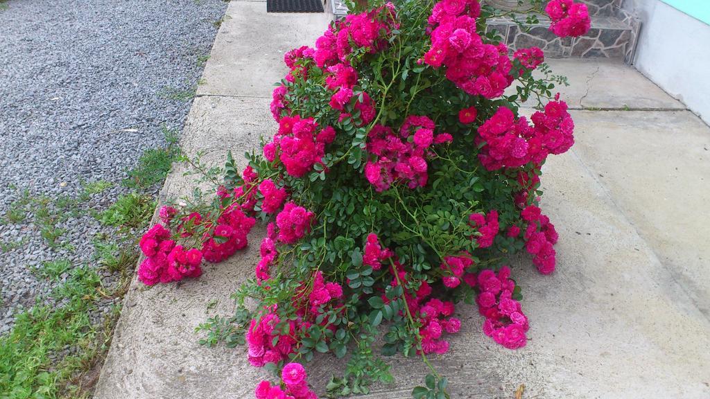 Becze Vanda kulcsosház Lăzarea Esterno foto