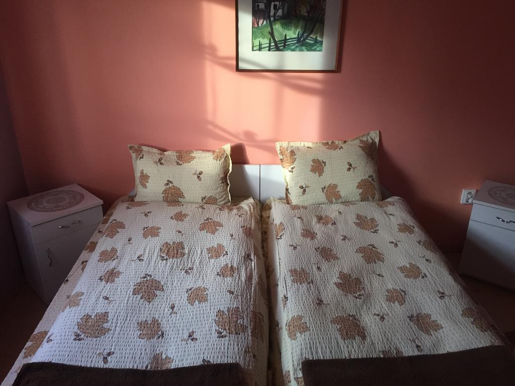 Becze Vanda kulcsosház Lăzarea Esterno foto